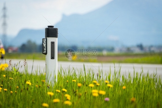 夏季在一条有田地沥青路鲜花和绿草的反射站图片