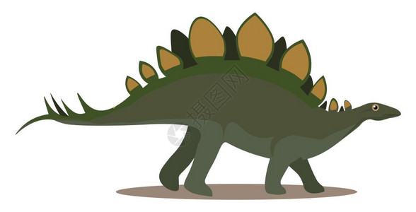 侏罗纪人的绿色食草恐龙背面矢量彩色画或插图上双排的大块皮板或脊椎图片