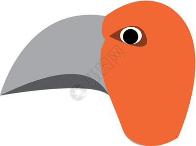 愤怒的橙鸟有尖锐长嘴矢量彩色绘画或插图图片