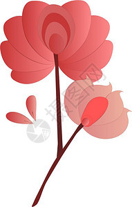 花枝处有两朵粉色瓣的矢量的颜色图画或插图片