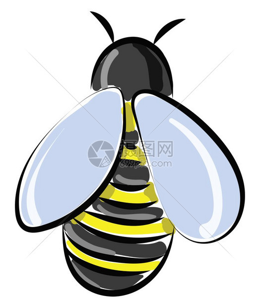 黄色和黑的蜜蜂有蓝翼矢量彩色绘画或插图图片