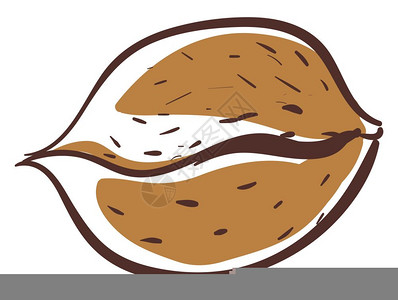 果壳活性炭插画_果壳活性炭卡通_果壳活性炭插图_手绘_板绘_摄图网