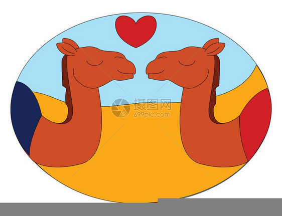 两只骆驼之间的爱两只骆驼之间的心脏符号矢量彩色绘画或插图图片