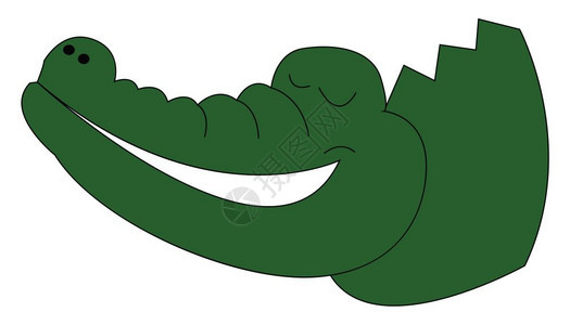 绿色鳄鱼矢量插画背景图片