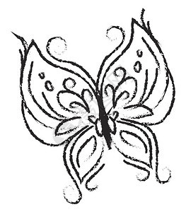 在黑蜡笔矢量彩色绘画或插图中出可爱的蝴蝶草图图片