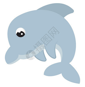 一只灰色的小可爱海豚 图片