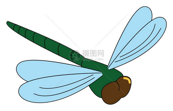 卡通蜻蜓图片