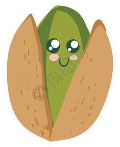 摩洛哥堅果卡通可爱开心果矢量设计插图插画