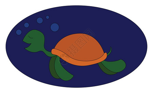 手绘卡通游泳的乌龟图片