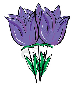 春天万物复苏两朵紫罗兰花和奥瓦尔形状的叶子已经生长得非常密切包括