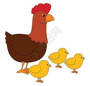 一只三可爱的小黄鸡和母一起吃草红梳棕色黑拳黄脚尖嘴看上去棒极了向量彩色画或插图背景图片
