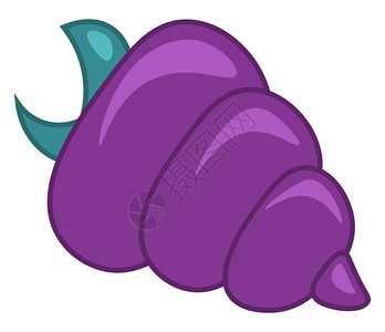 紫色的隐居螃蟹向量彩色画或插图图片