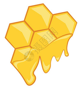 美味健康的金蜂蜜向量彩色画或插图图片