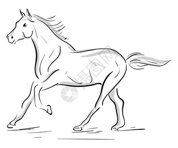 灰色向量彩绘画或插图的马跑轮廓图片