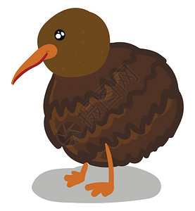 不会写作文一个快乐的kiwi鸟矢量彩色绘画或插图的漫插画