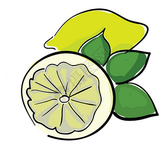 王缘黄酸柠檬矢量彩色图画或插插画