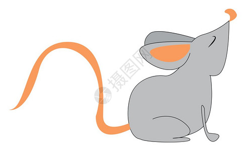 世间的尾巴灰色的小老鼠有棕色尾巴向量彩色图画或插插画