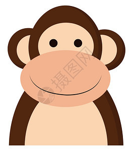 一个快乐的棕色猴子图片