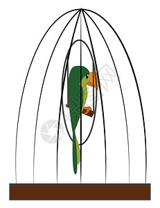笼子里的绿色鹦鹉矢量彩色绘画或插图的漫图片