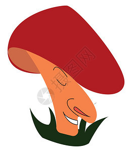 红色蘑菇矢量插图图片