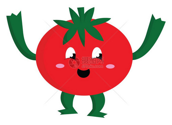可爱的番茄有腿和手向量彩色画或插图图片