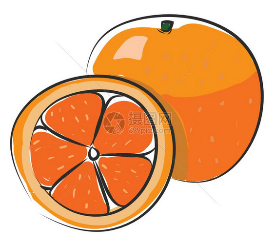 一个非常美味的大橙子切片矢量彩色画或插图图片
