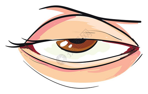 闭眼的猫插画-闭眼的猫卡通-儿童病媒的字母动物和研究材料u指独角兽