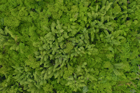 泰国Kanchanaburi区公园热带森林树木的空中最高视图以及夏季公园的山区或丘自然景观背图片