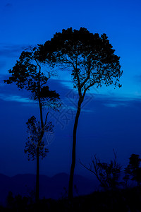 月光树日或蓝天空背景的山上图片