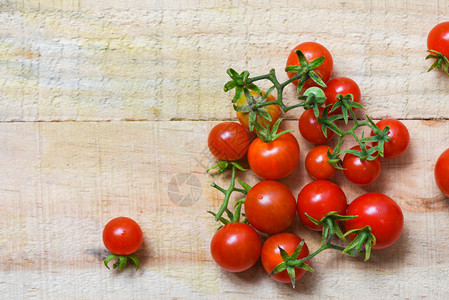 灌木丛白色木本底的番茄有机红背景