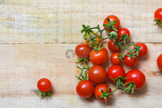木本底的番茄有机红图片