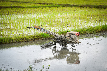 种植稻田的步行拖拉机以便耕种农田准备在雨季种植农田稻图片