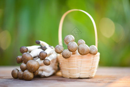 木篮和自然绿色背景的shimejimushroom图片素材