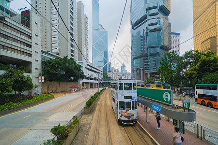 香港的观光公共汽车图片