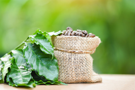 袋子中的豆包装烤咖啡木制桌上的绿叶和自然色背景图片