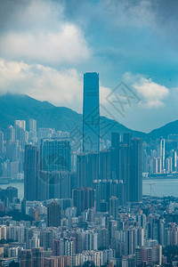 香港2019年8月鸟类和图片