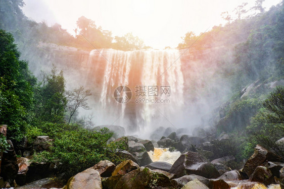 森林热带雨绿美丽的泰国风景图片