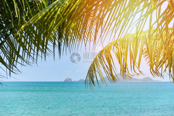 夏季蓝色天空和岛屿上有椰子棕榈树阳光的海洋度假日背景壁纸图片