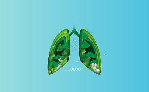 人类肺生态环境卫生医疗背景图片