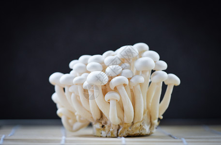 黑底蘑菇食用或黑底的白蘑菇背景图片