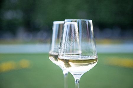 在正规花园的石墙上喝着白葡萄酒在晚上的阳光下在自己的花园里享受图片