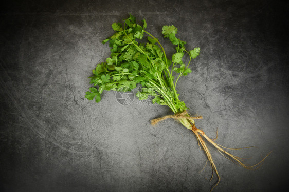 蔬菜香料草药深底绿椰菜叶图片