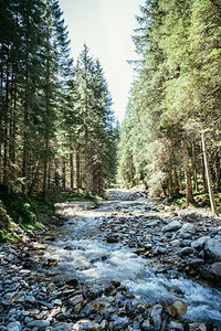 奥地利阿尔卑斯山脉美丽的河流和森林景观图片