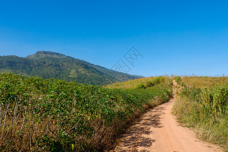 通往山的田地上土路通往公路小卡车的农村土质公路图片