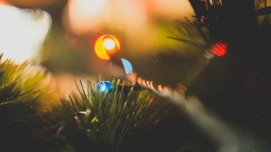 圣诞树园中发光的彩色灯泡宏图圣诞树园中发光的彩色灯泡宏图图片
