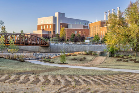 科罗拉多州立大学电力厂能源校区背景的科罗拉多福特柯林科罗拉多市中心Poudre河新建白水公园中的自然草和植被景观和恢复图片