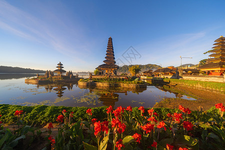 巴厘岛的UlunDanuBratanTemple红花和湖图片