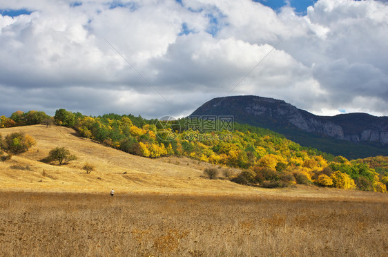 秋天的山地景观自然的构成图片