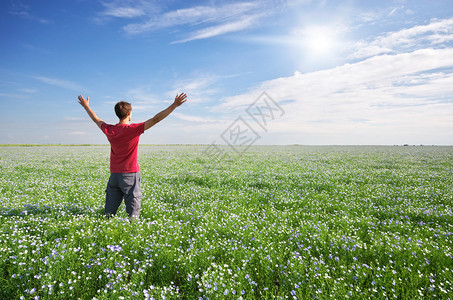 开满小花的草原上一个男人张开双臂图片