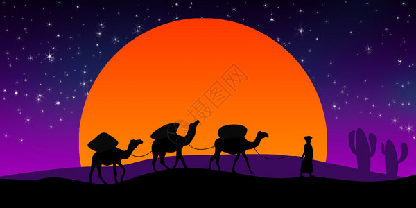 骆驼在沙漠的背影中3D翻滚图片